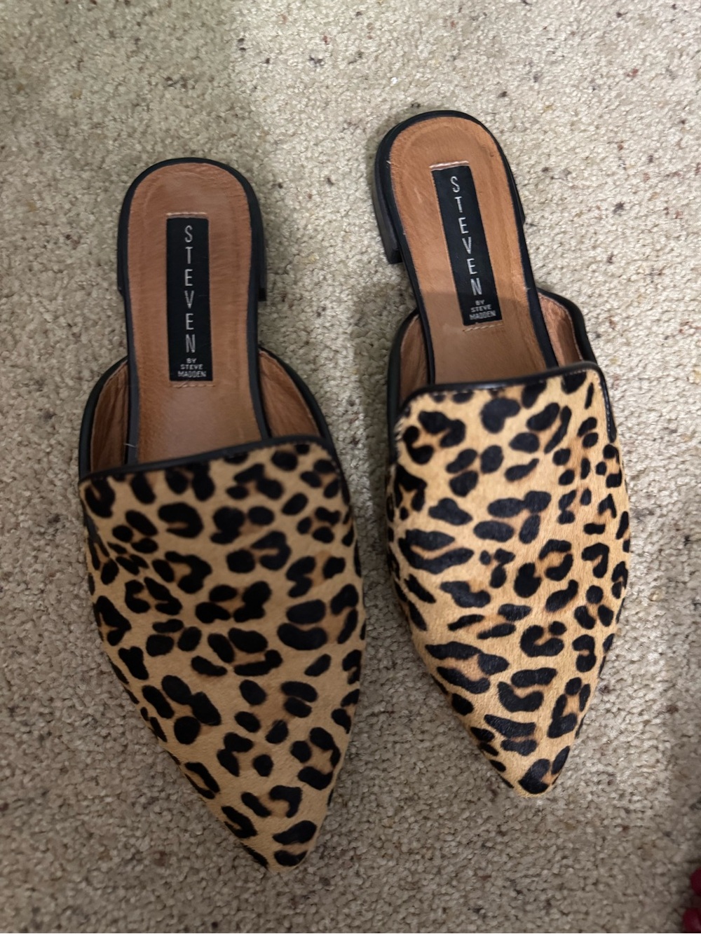 Steven By Steve Madden Leopard-Print Pointed Mules - Tan/Black